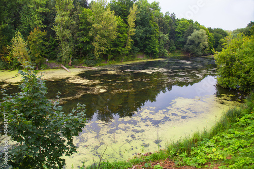 A pond with blooming water with steep banks against a background of green trees on a clear sunny day. Nature landscape rivers ecology.