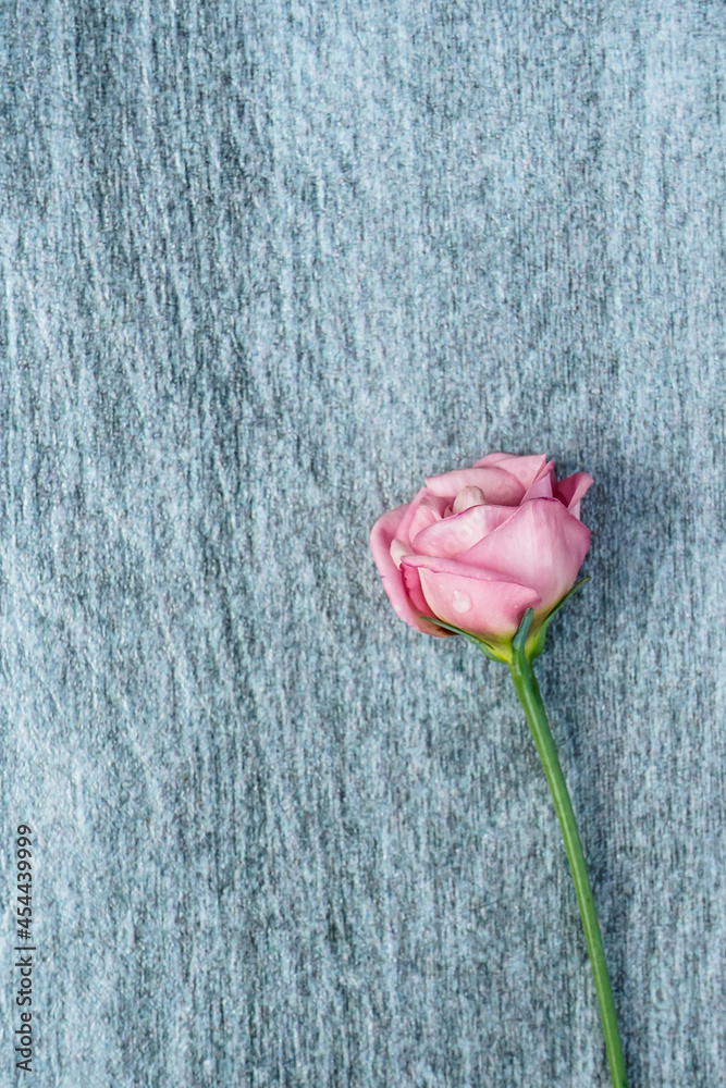 A single pink lisianthus flower placed at the bottom right of the image. A gray wood background. Flat lay image. Portrait orientation.