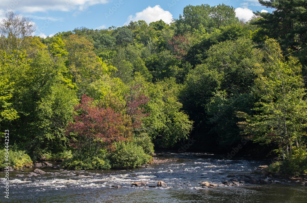 Beautiful Oxtongue River in Dwight Ontario on a bright summer day Beautiful Oxtongue River in Dwight Ontario on a bright summer day