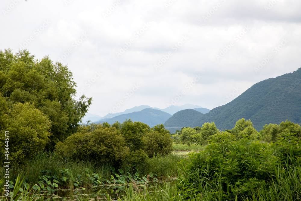 Obraz premium 물의 정원