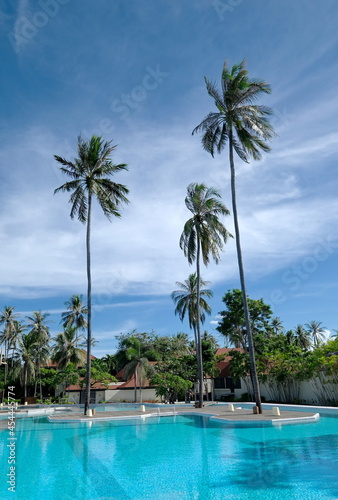 Pool with platform island under palm trees