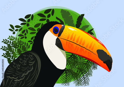 Toucan Ilustration