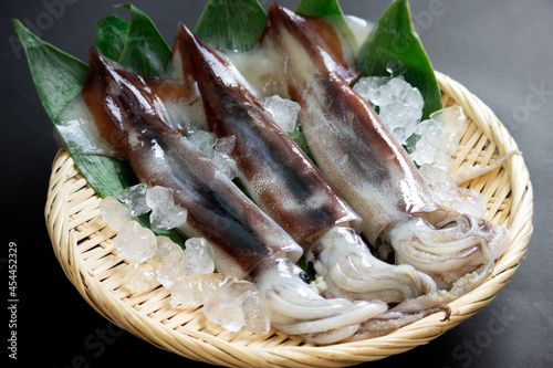 Canvastavla するめいか