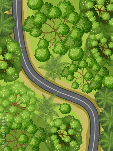 Aerial view with road through the forest landscape