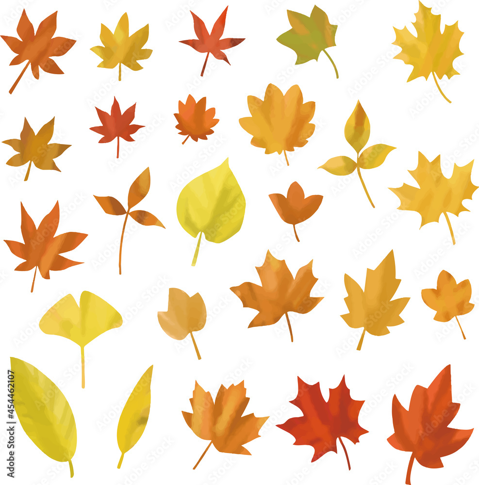 Vector illustration set of maple and autumn leaves (watercolor style). Vector illustration set of maple and autumn leaves (watercolor style).