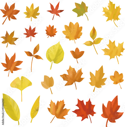 Vector illustration set of maple and autumn leaves (watercolor style).