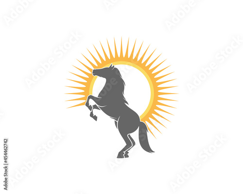 Standing horse with sunrise behind