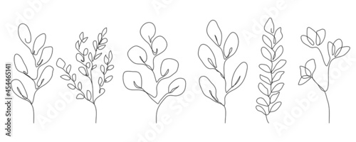 Set of Botanical Line Art Of Flowers  Leaves  Plants. Floral Hand Drawn Sketch Outline Drawing Leaves and Flowers Isolated on White Background. Vector EPS 10