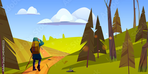 Woman hiker with stick and backpack walks on road from forest to green hills. Vector cartoon illustration of summer landscape with pines, fields and girl tourist