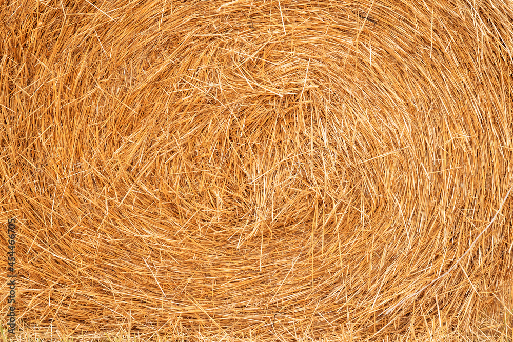 Hay texture. Harvest background. Agriculture concept. Flat lay Hay texture. Harvest background. Agriculture concept. Flat lay