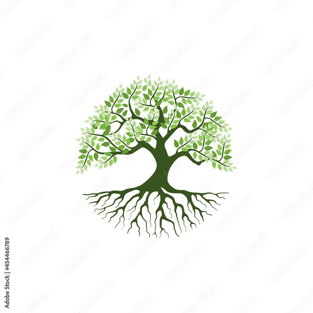 Fototapeta premium Tree and roots vector, tree with round shape