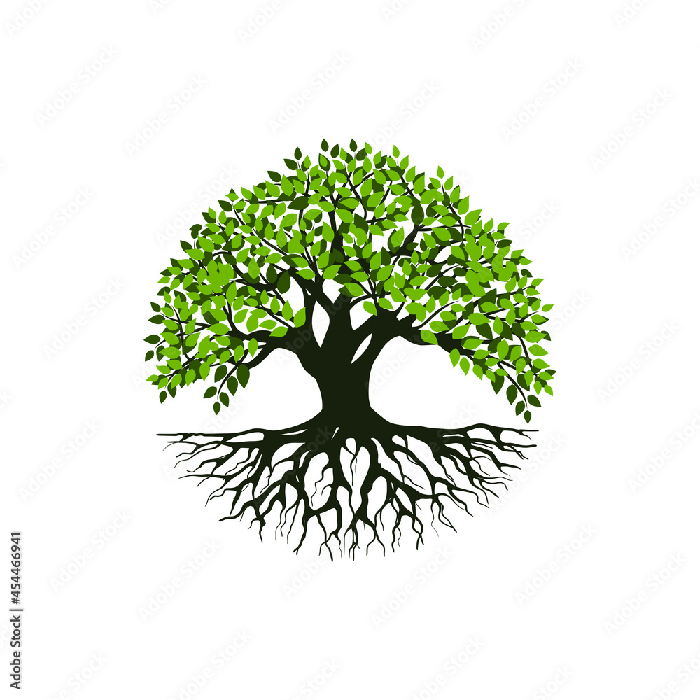 Tree and roots vector, tree with round shape Stock Vector | Adobe Stock
