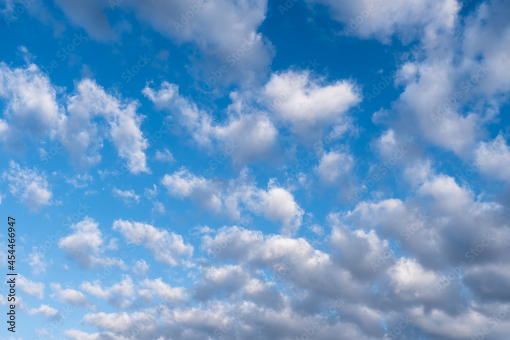 Fototapeta premium white clouds in the blue sky, cumulus,