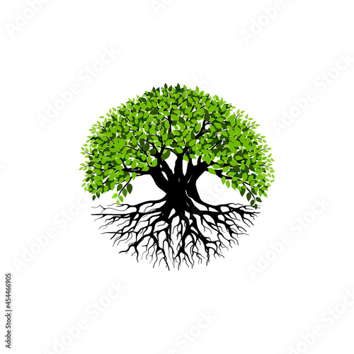 Tree and roots vector, tree with round shape
