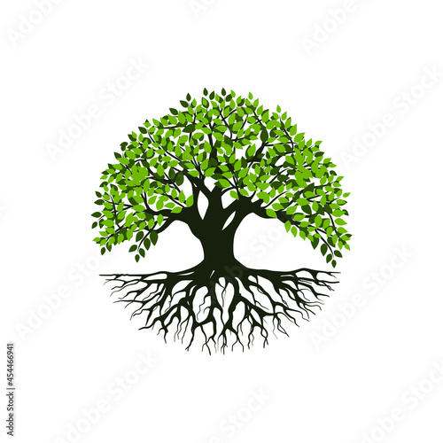 Tree and roots vector, tree with round shape