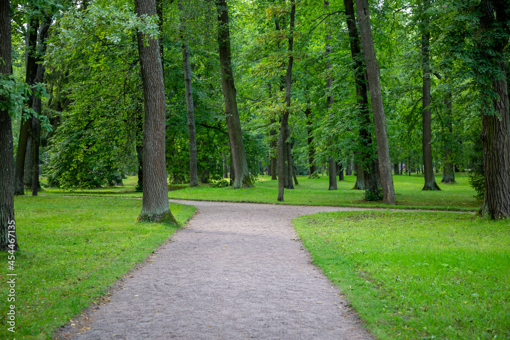 alley in the green summer park