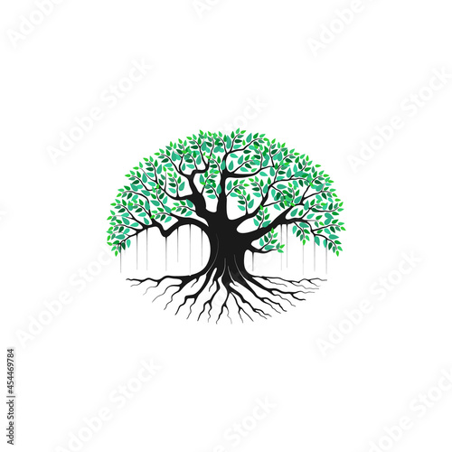 Fotografija tree vector illustration. roots of banyan tree. mangrove plant