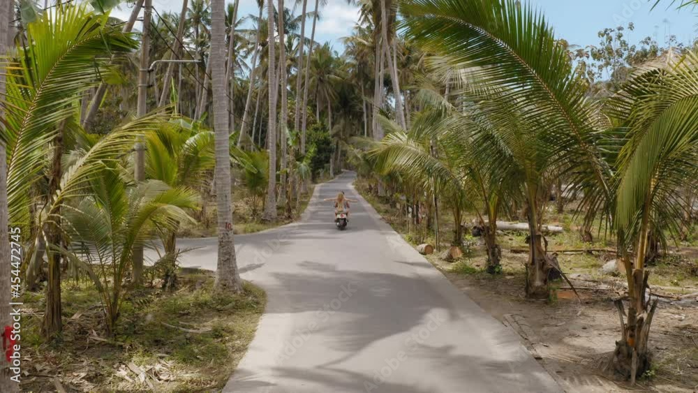 above view couple riding scooter on tropical island exploring palm tree forest on motorcycle tourists explore holiday destination with motorbike above view couple riding scooter on tropical island exploring palm tree forest on motorcycle tourists explore holiday destination with motorbike