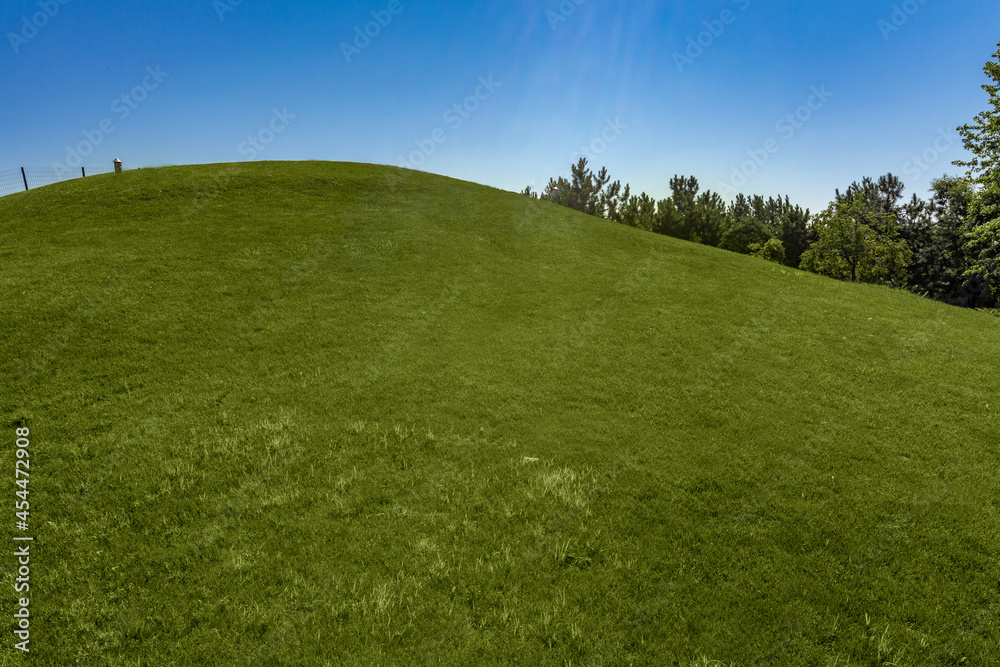 Neatly mowed green grass on hillside on sunny summer day Neatly mowed green grass on hillside on sunny summer day