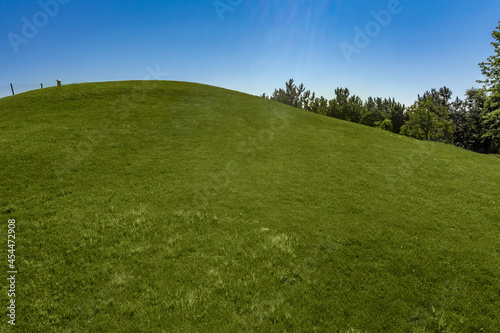 Neatly mowed green grass on hillside on sunny summer day