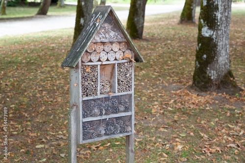 bug hotel wood insect house ladybird wooden bee home in natural ecological gardening concept © OceanProd