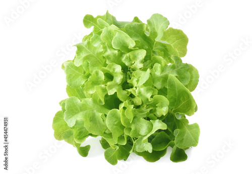 Green oak lettuce isolated on white background