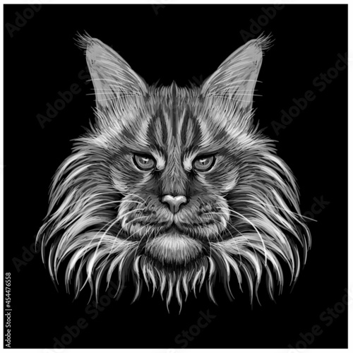 Maine Coon cat. Grey, white and black , graphic, hand-drawn portrait of a cat looking ahead on a black background.