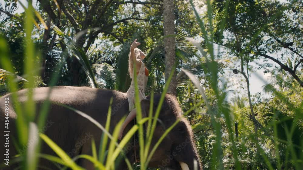 travel woman riding elephant in jungle with arms raised enjoying ...