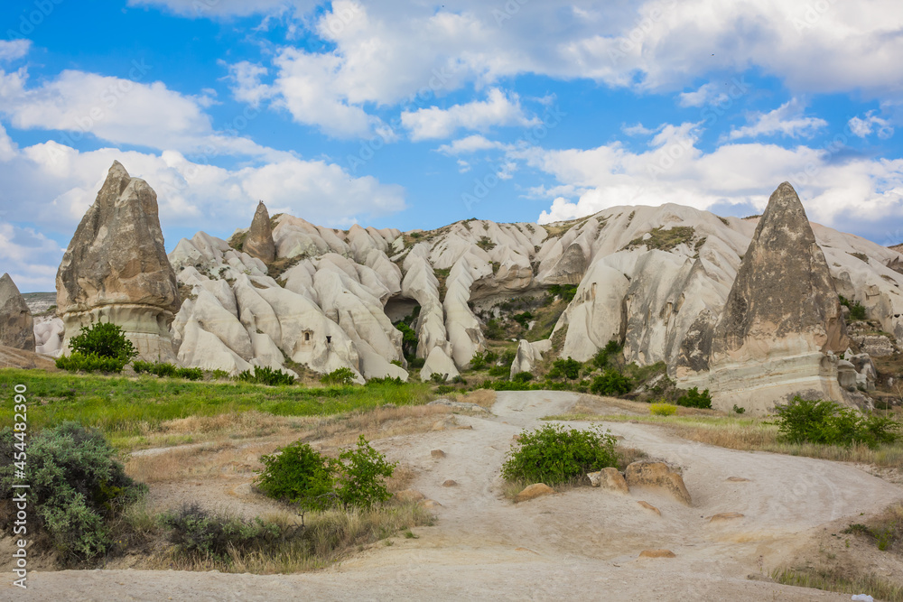 Fototapeta premium Amazing Volcanic rock formations known as Love Valley or Fairy Chimneys in Cappadocia, Turkey. Mushroom Valley one of attractions in Goreme National Park, Turkey. Mountains with rooms inside