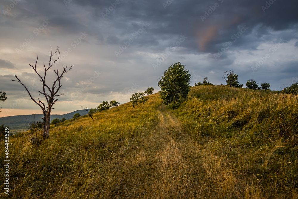 Dawn in the mountains. Path in the mountains at dawn.The sun rises from behind the mountains. Beautiful green and yellow hills. A colorful cloudy sky. Mountains in the fog. Carpathian, Ukraine, Dawn in the mountains. Path in the mountains at dawn.The sun rises from behind the mountains. Beautiful green and yellow hills. A colorful cloudy sky. Mountains in the fog. Carpathian, Ukraine,