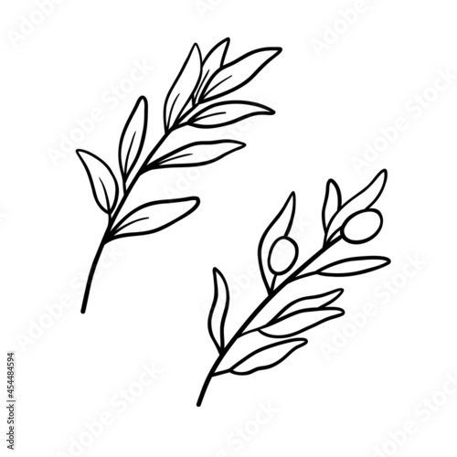 Olives branch in line art drawing style. Minimalist black linear sketch on white background. Vector outline illustration