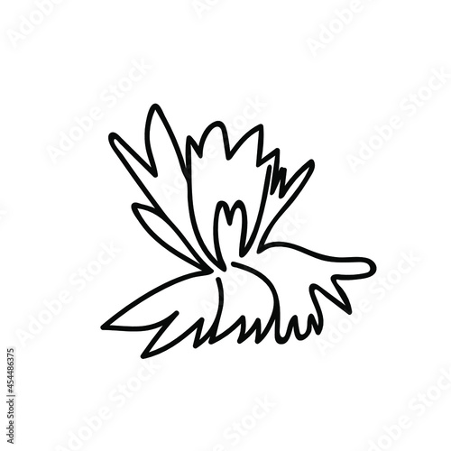 One Vector Botanical Illustration Cornflower with black line on white background.Floral,Summer hand drawn doodle style picture.Designs for packaging,social media,web,cards, posters,invitations.