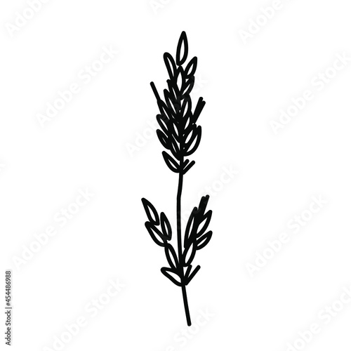 One Vector Botanical Illustration Branch Plant with black line on white background.Floral,Summer hand drawn doodle style picture.Designs for packaging,social media,web,cards, posters,invitations.