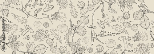 Banner with pumpkins, mushrooms, berries and leaves. Autumn elements on a gray background. Outline drawing.