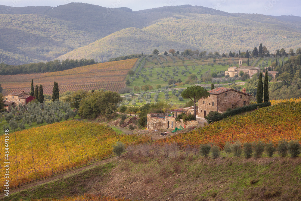Gaiole in Chianti, Siena. Paesaggio con viti, ulivi e fattoria in autunno. Gaiole in Chianti, Siena. Paesaggio con viti, ulivi e fattoria in autunno.