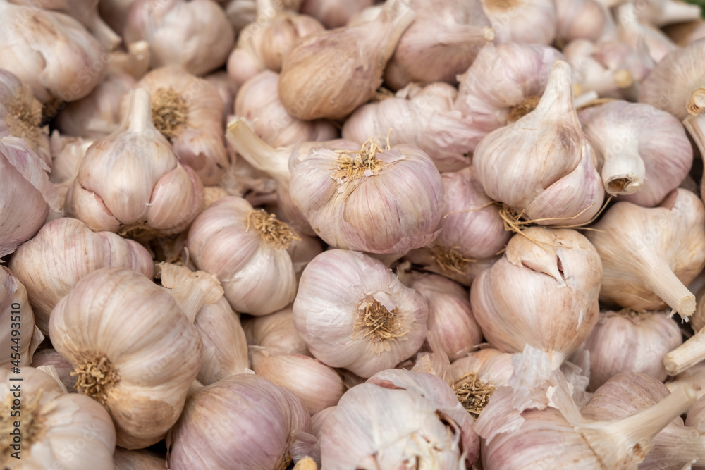 fresh dry garlic sold at city farmers market fresh dry garlic sold at city farmers market
