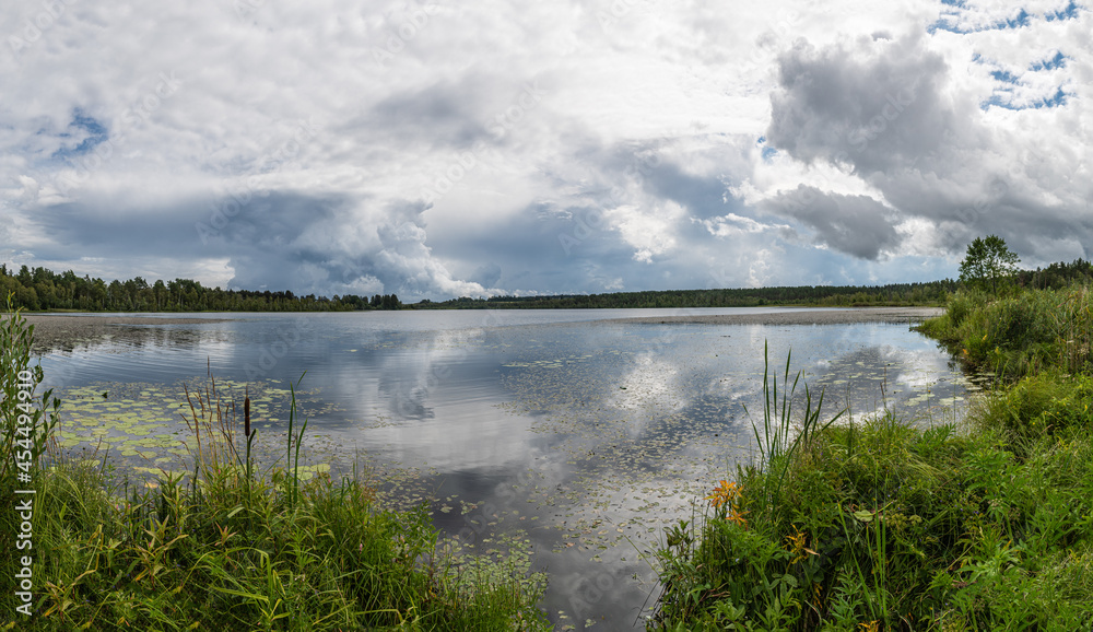 Panoramic view of the forest lake, overgrown with grass. Panoramic view of the forest lake, overgrown with grass.