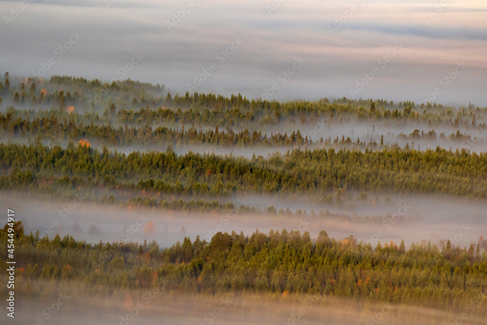 Fog covering the taiga forest landscape in the morning during sunrise in Finnish nature near Kuusamo, Northern Europe
