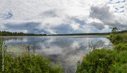 Panoramic view of the forest lake  overgrown with grass.