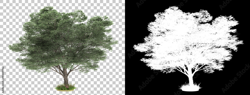 Fototapeta Tree isolated on background with mask. 3d rendering - illustration