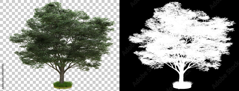 Fototapeta premium Tree isolated on background with mask. 3d rendering - illustration