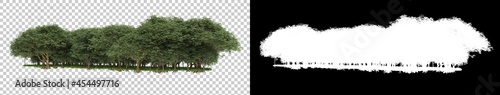 Forrest arrangement isolated on background with mask. 3d rendering - illustration