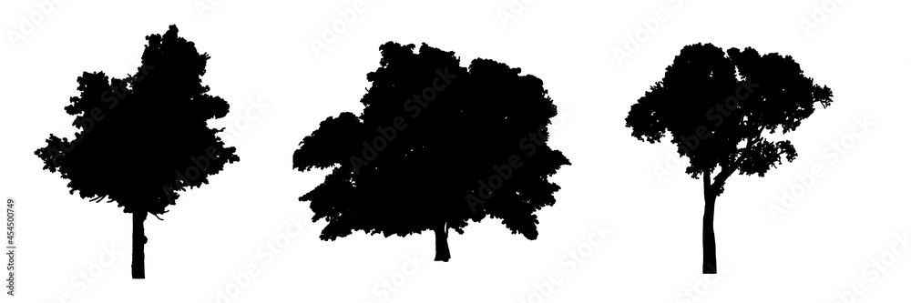 Fototapeta premium Tree shadow with leaves, tree trunk, branch and light bokeh on white