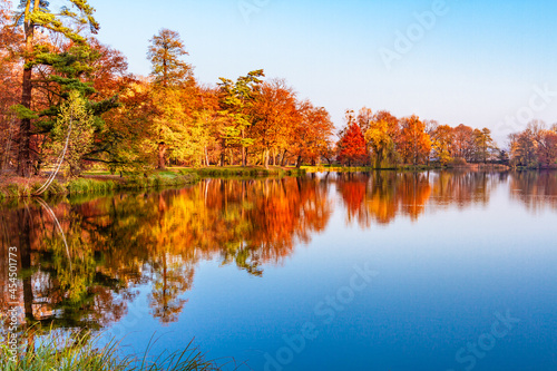 Sunny autumn in the park. Autumn landscape with colorful yellow, orange and red tress and reflection in a pond. Silesia, Poland