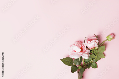 Sweet color roses in soft style on pink background, greeting card © Nastya