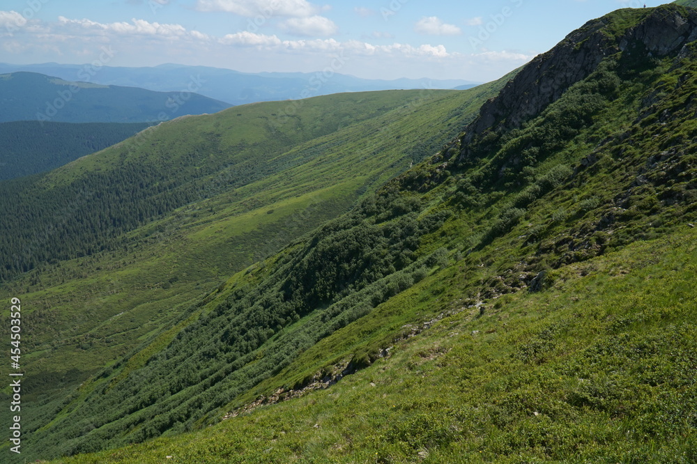 View of the green Carpathian mountains. On the way to Mount Hoverla, the highest point in Ukraine.