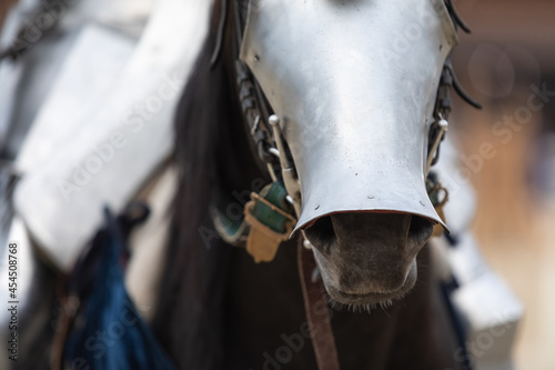 Portrait of a war horse in iron medieval armor on the muzzle. Front view. Close-up © Naletova