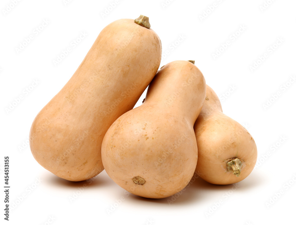 butternut squash isolated on white background. butternut squash isolated on white background.