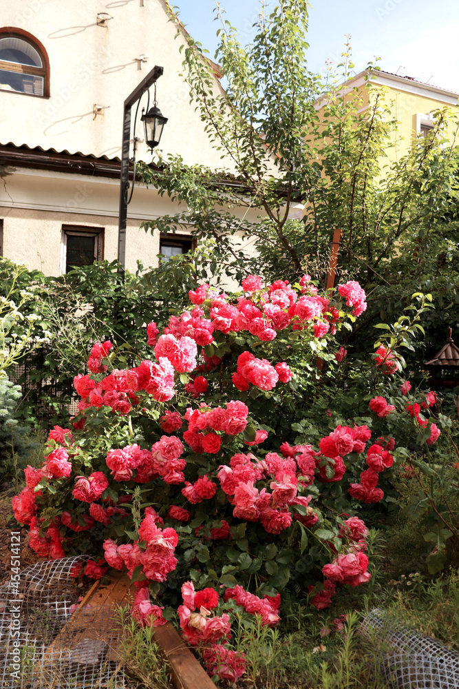 Obraz premium garden with flowers