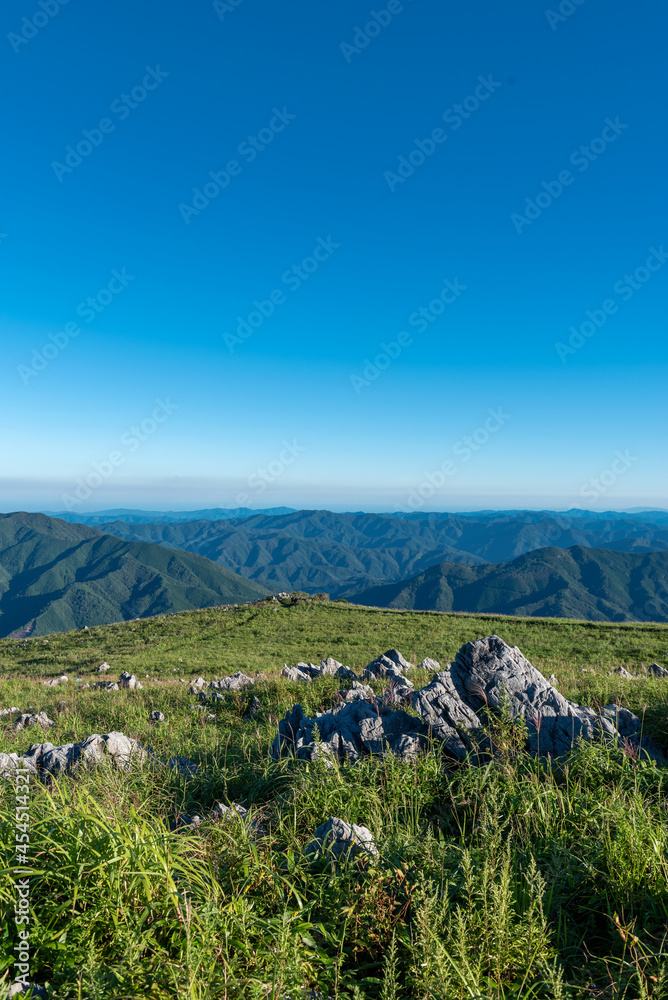 夏の四国カルスト